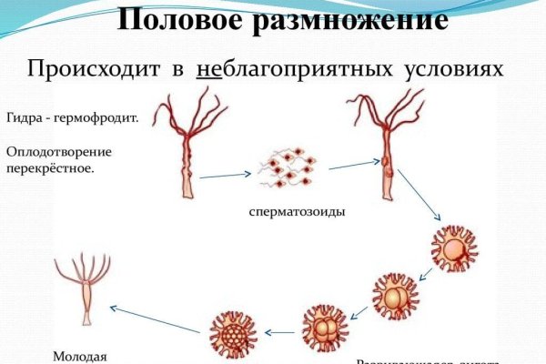 Кракен маркетплейс ссылка на сайт