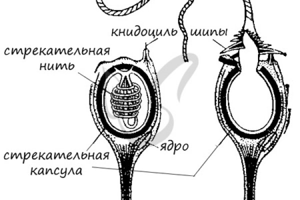 Пользователь не найден кракен даркнет