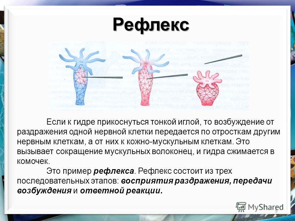 Кракен маркетплейс это